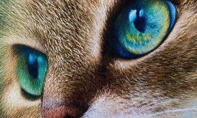 Embroidery History - SunnySass